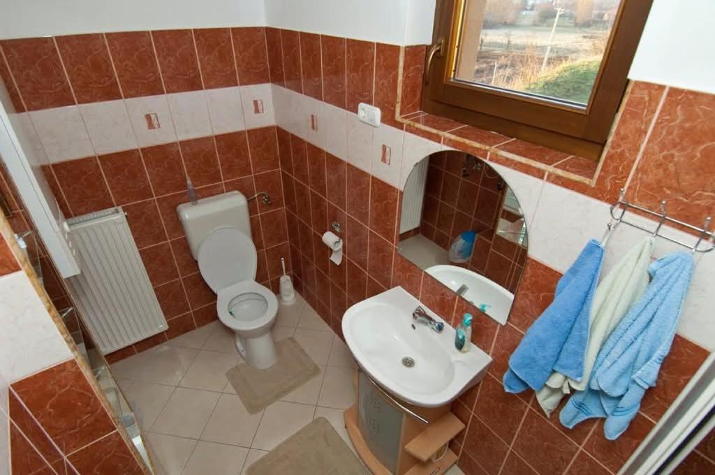 Sas-Feszek Vendeghaz Apartment Demjen Bagian luar foto